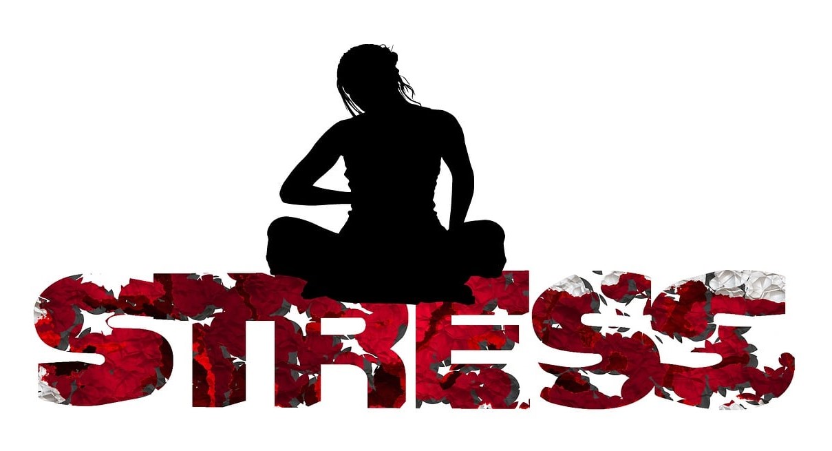 Stress and Anxiety